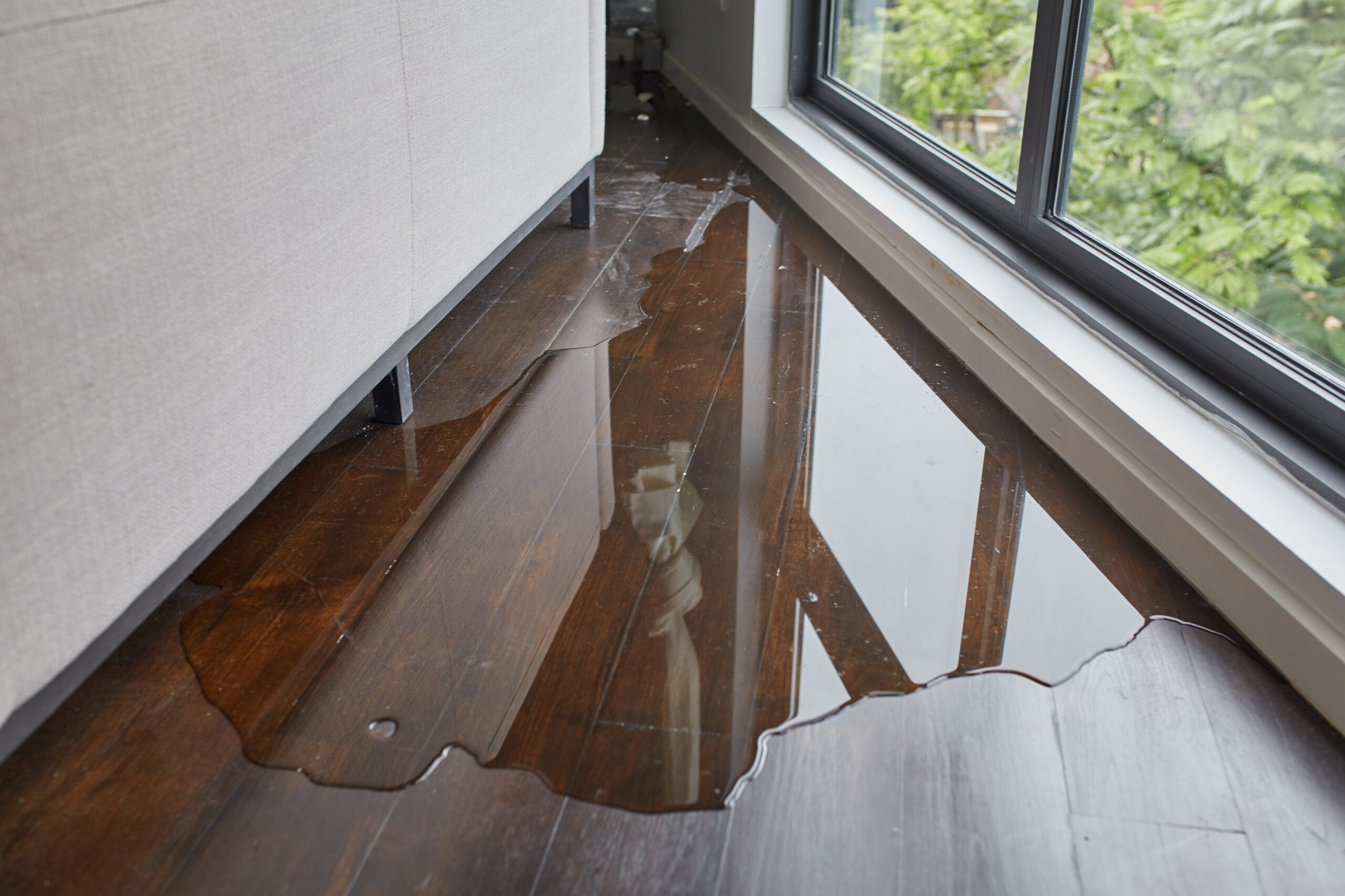 Effective Strategies for Water Damage Remediation 1 shutterstock 1191758296 scaled 1